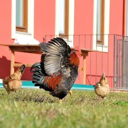 Séjour à la ferme Palazzo Rosso
